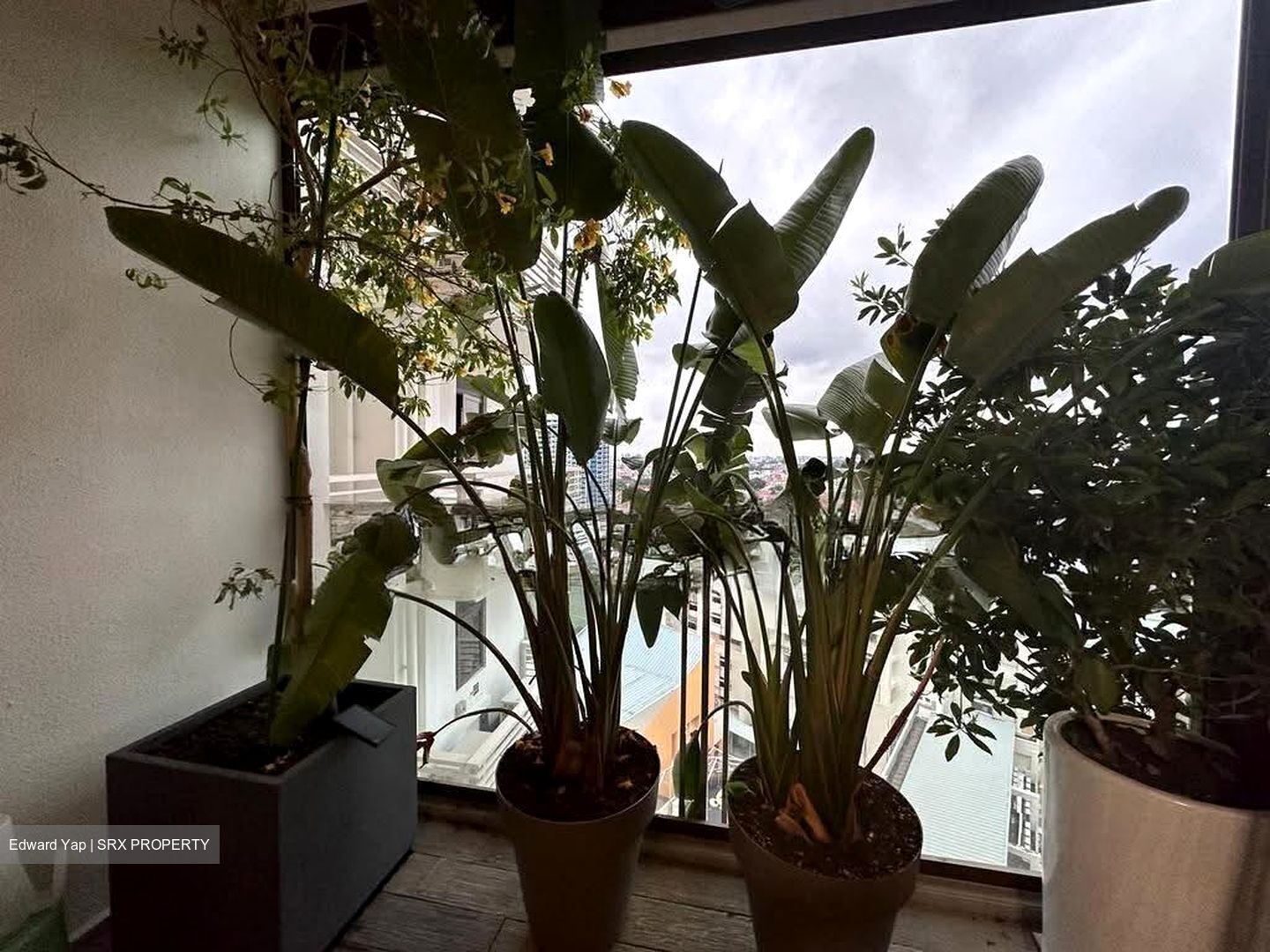 Seaside Residences (D15), Apartment #609031381